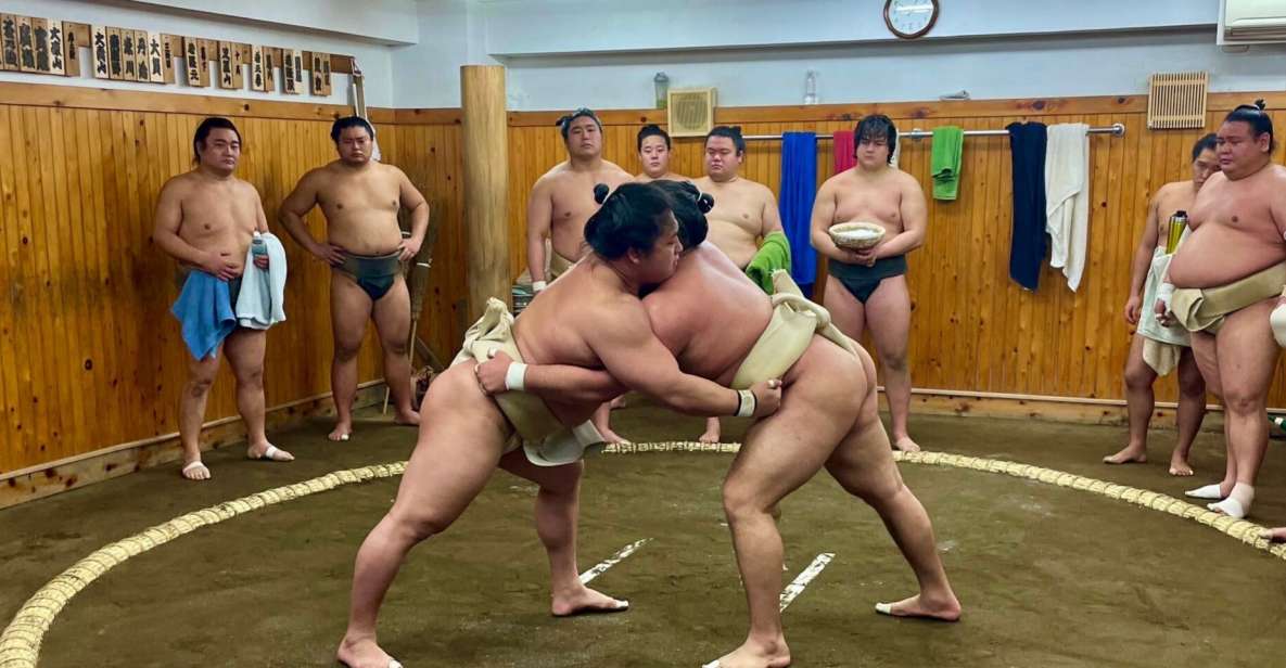Tokyo: Sumo Wrestling Morning Practice With Live Commentary - Just The Basics