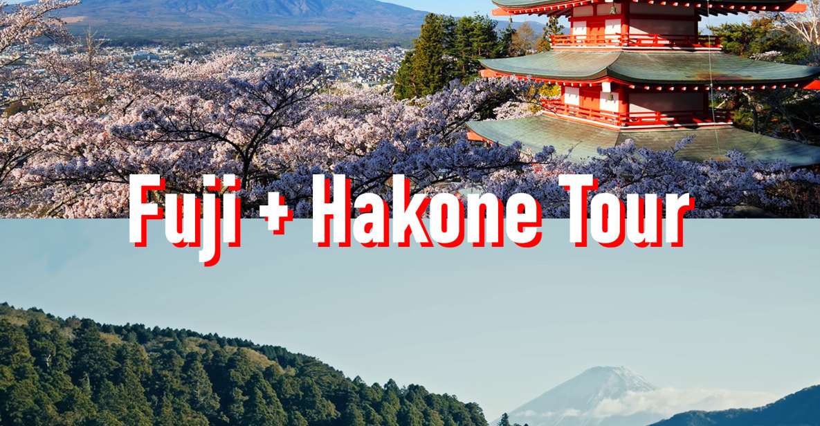 Tokyo to Mount Fuji and Hakone Private Full-day Tour - Just The Basics