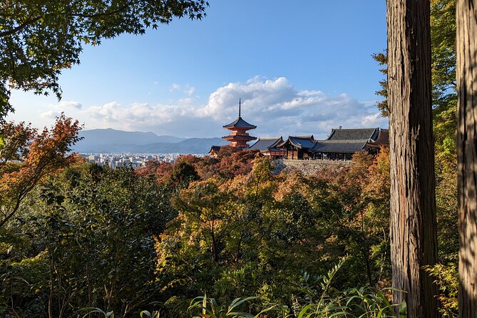 Tour in Kyoto With a Goverment Certified Tour Guide - Key Points