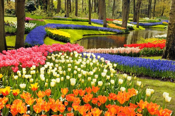 Tour to Giethoorn and Keukenhof Tulip Fields From Amsterdam - Key Points