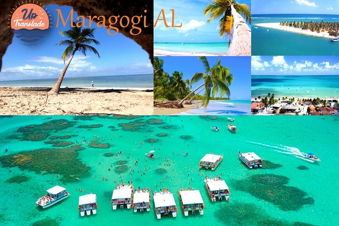 Tour to Maragogi, Alagoas - Key Points