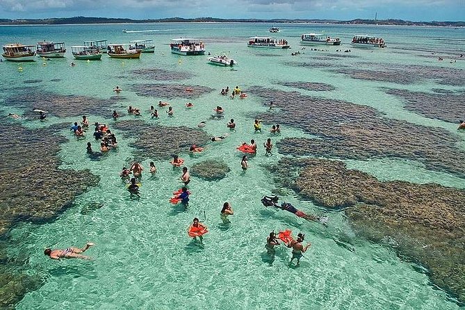Tour to Maragogi From Maceió, Including Natural Pools by Edvantur - Key Points