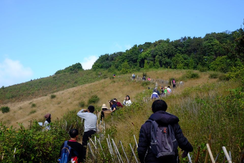 Tour With Hike in Kiew Mae Pan Natural Trail From Chiang Mai - Key Points