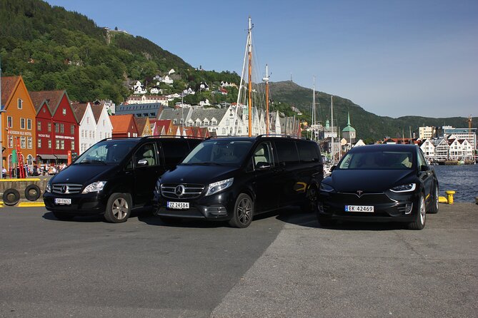 TRANSFER, STANDARD, 1-7 PAX: Bergen – Ulvik - Transfer Options Available