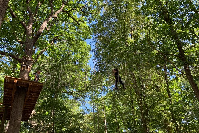 Tree Top Adventure in Forest of Meudon - Key Points