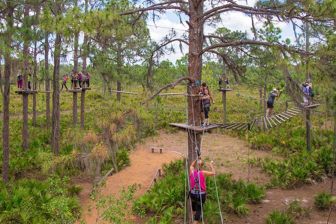 TreeUmph Adventure Course