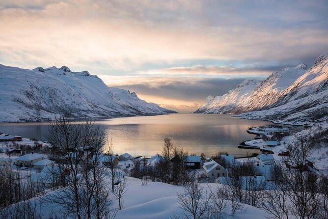 Tromsø Fjords and Islands Road Trip With 8 Seats Minivan - Tour Highlights