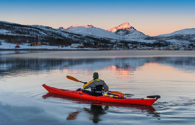 Tromsø, Northern Lights and Wilderness Evening Catamaran Cruise - Highlights of Tromsø