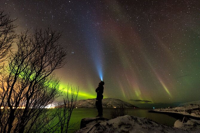 Tromsø Norway - Small Group Aurora Hunt Tour With a Local Guide - Tour Overview