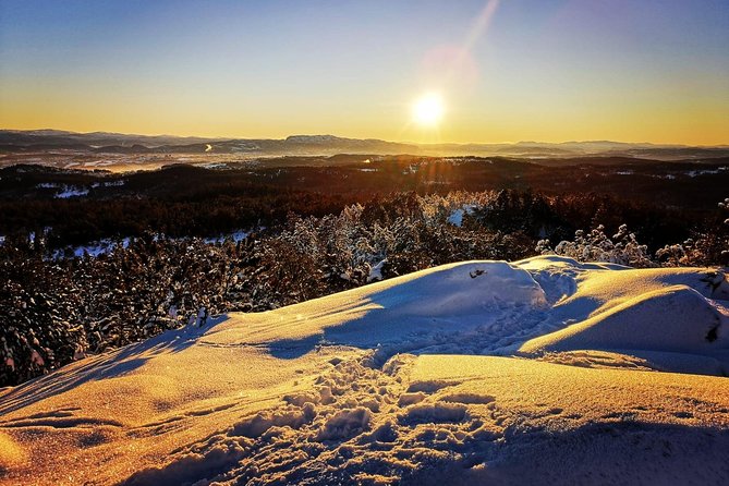 Trondheim Forest Sledding and Tram Tour - Tour Highlights