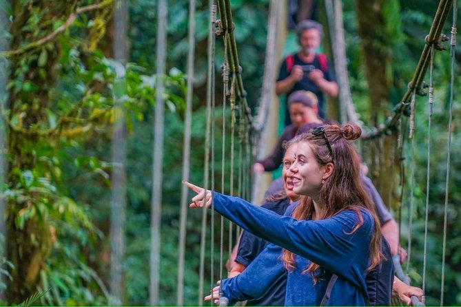 Tropical Rainforest, Hanging Bridges And Jungle Sloths Sanctuary - Key Points