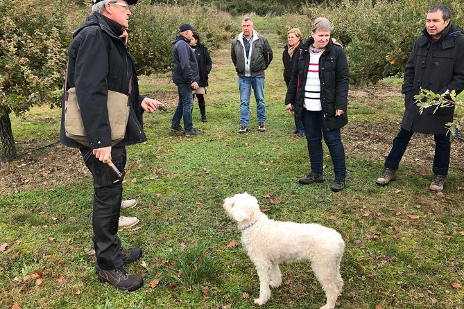 Truffle Farm Visit and Cavage With a Dog in All Seasons - Key Points