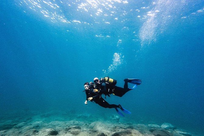 Try Dive in Tenerife - Key Points