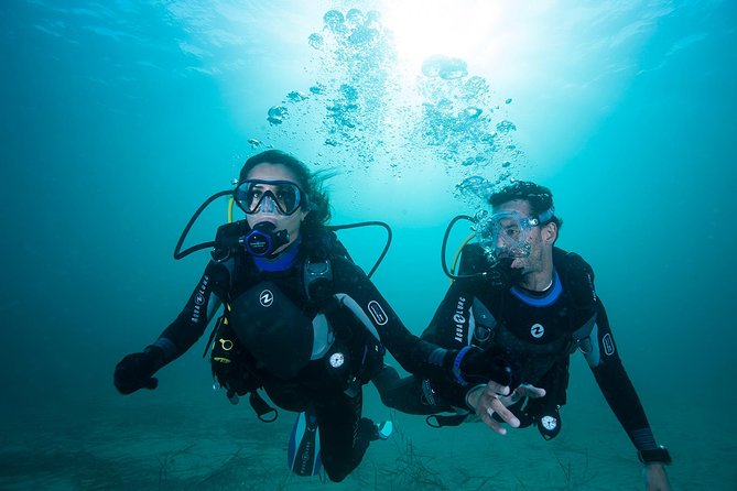 Try Scuba Diving Experience: Sydney - Key Points