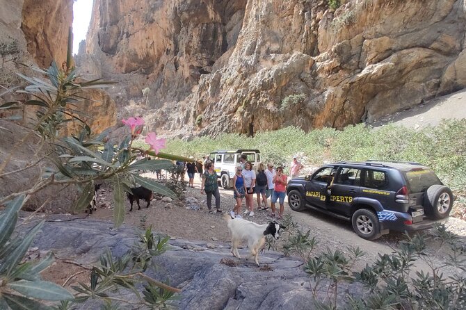 Trypiti Beach and Gorge Jeep Safari - Just The Basics