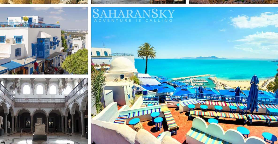 Tunis: Carthage, Sidi Bou Said and Medina Private Day Trip - Key Points