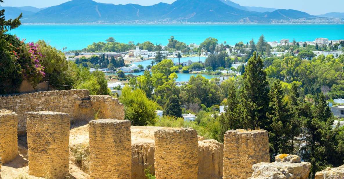 Tunis: Full-Day Sightseeing Tour With Lunch - Key Points