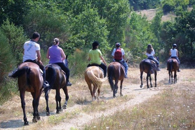 Tuscan Chianti Hills Horseback Riding Tour - Key Points