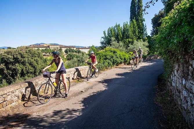 Tuscan Country Bike Tour With Wine and Olive Oil Tastings - Key Points