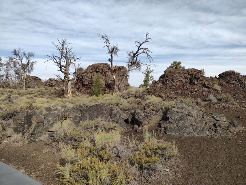 Twin Falls: Craters of the Moon Full-Day Tour With Lunch - Key Points