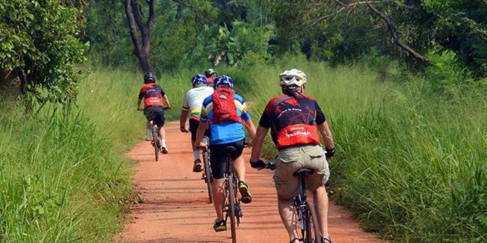 Two-Wheeled Toddy Hunting Adventure in Bentota. - Key Points