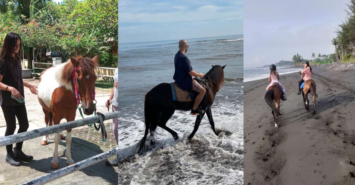 Ubud: 1 Hour Beach Horse Riding With Transfer - Key Points