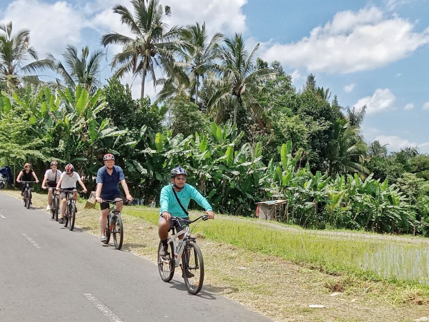 Ubud Downhill Cultural Cycling Tour With Rural and Meal - Key Points