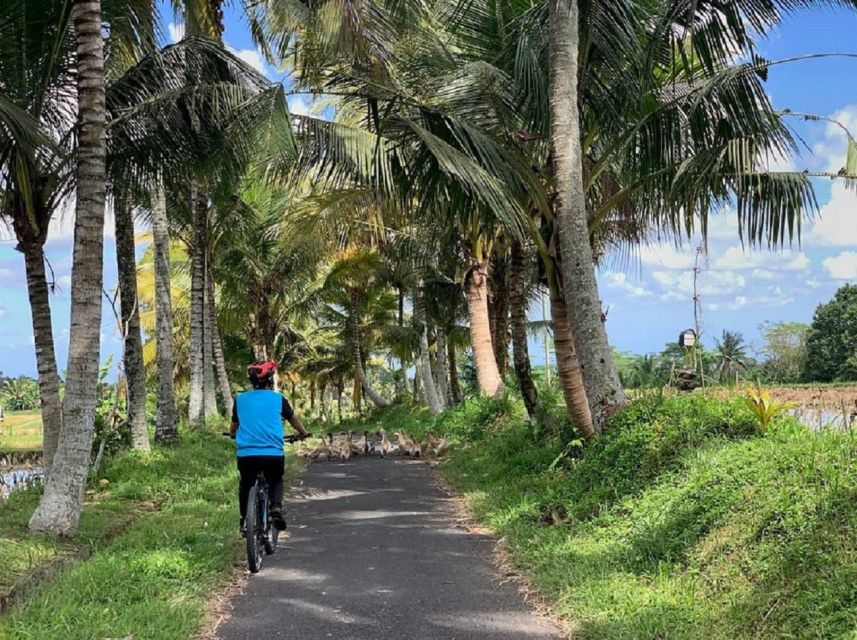 Ubud: Downhill Cycling With Volcano, Rice Terraces and Meal - Key Points