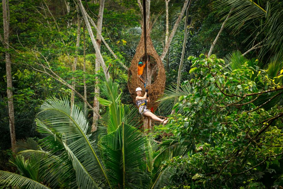 Ubud: Half-Day Zipline and Jungle Swing Adventure - Key Points