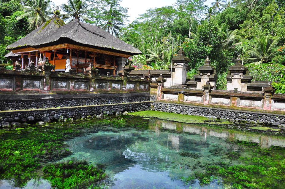 Ubud: Highlights Small Group Guided Tour - Key Points