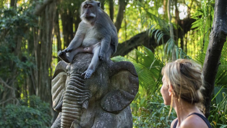 Ubud: Monkey Forest, Rice Terrace & Tanah Lot Private Tour - Key Points