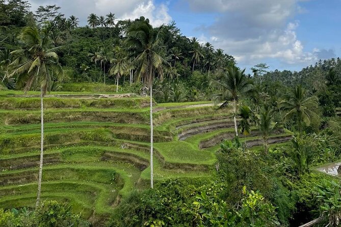 Ubud Private Traditional Tour: Transfers From Any Bali Hotel (Mar ) - Tour Highlights