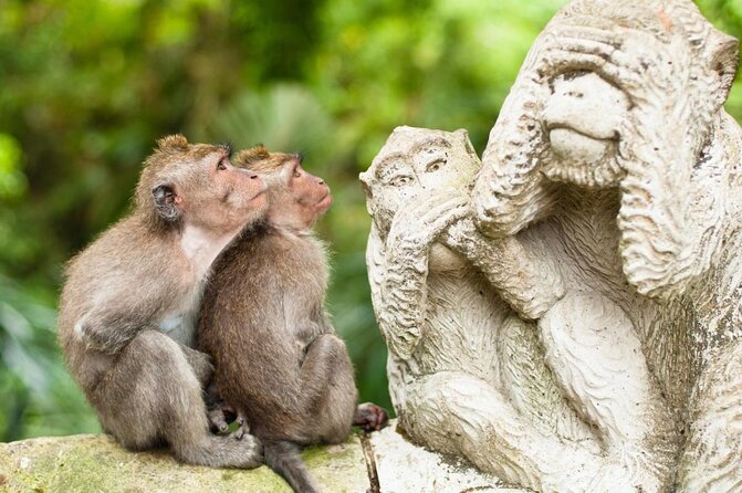 Ubud: Swing - Monkey Forest - Waterfall - Temple - Rice Terraces - Art Crafts - Key Points