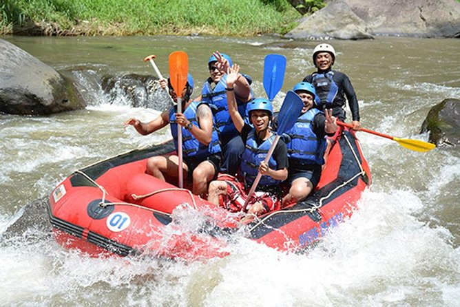 Ubud White-Water Rafting With Lunch and Private Transfers (Mar ) - Key Points