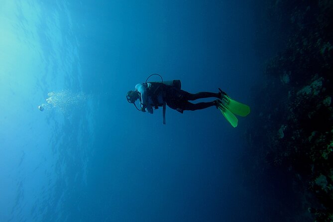 Under a Sea of Adventures, Unforgettable Diving. - Key Points