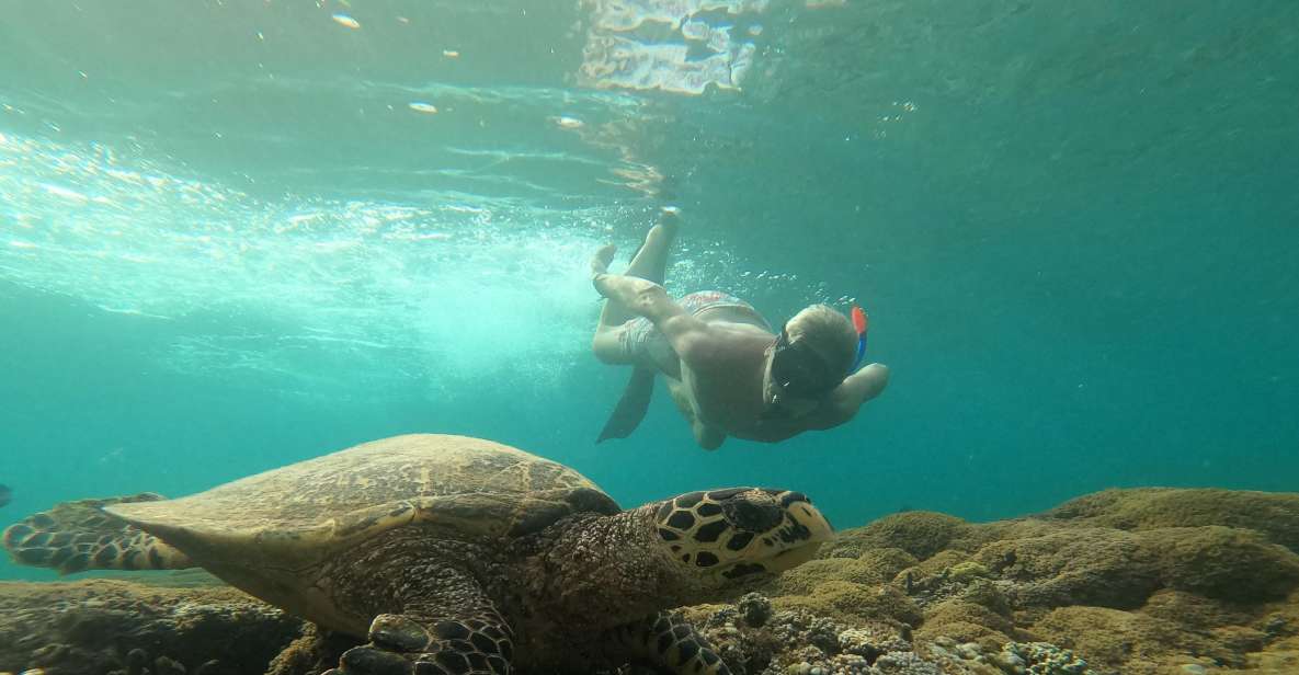 Unforgetable Private Snorkeling Trip - Key Points