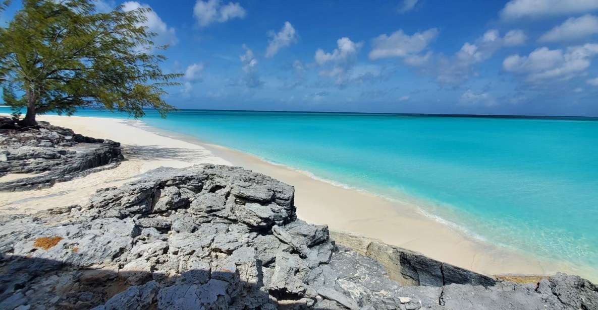 Unforgettable Land Tour on Long Island Bahamas - Just The Basics