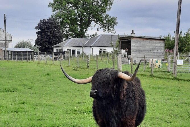 Urquhart Castle, Culloden, Loch Ness Centre, Gin, Outlander Sites - Tour Details