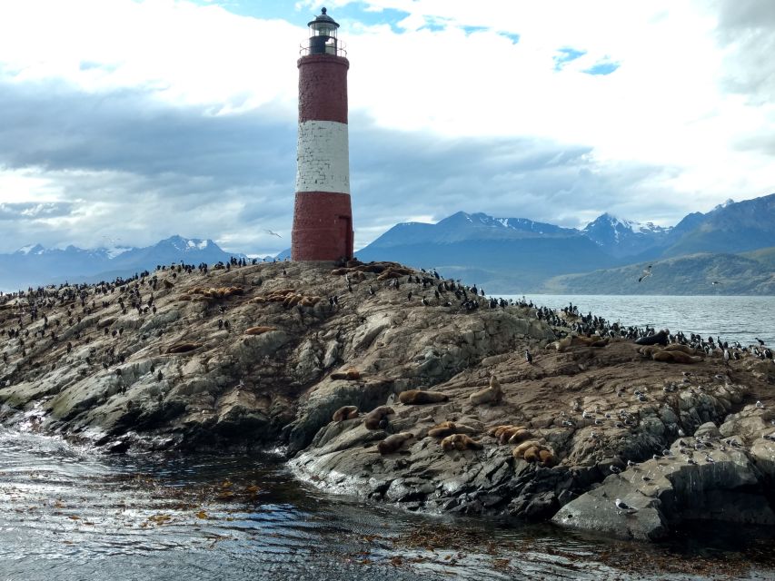 Ushuaia: Beagle Channel & Sea Wolves Island Catamaran Cruise - Key Points