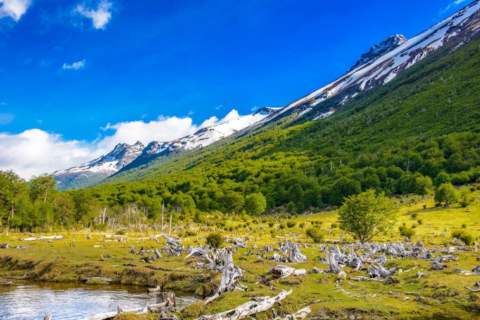 Ushuaia: Shared Experience "Tierra Del Fuego" National Park - Key Points