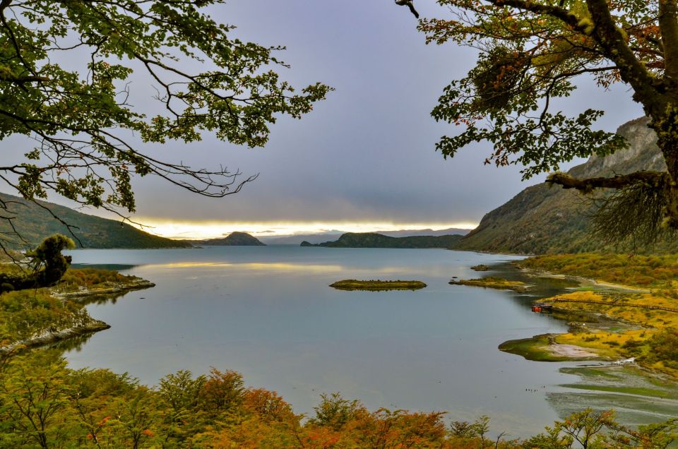 Ushuaia: Tierra Del Fuego National Park Tour With Lunch - Key Points