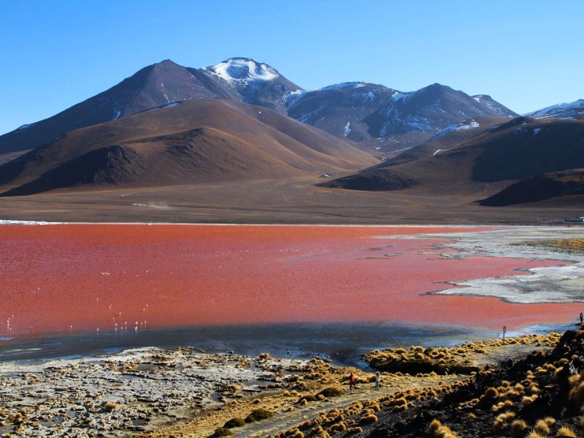 Uyuni Salt Flats and Red Lagoon 3-Days English in Guide - Key Points