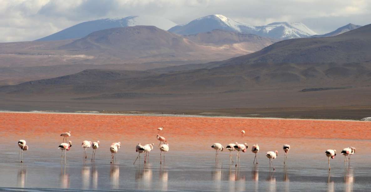 Uyuni: Uyuni Salt Flats and Red Lagoon 3-Day Tour - Key Points