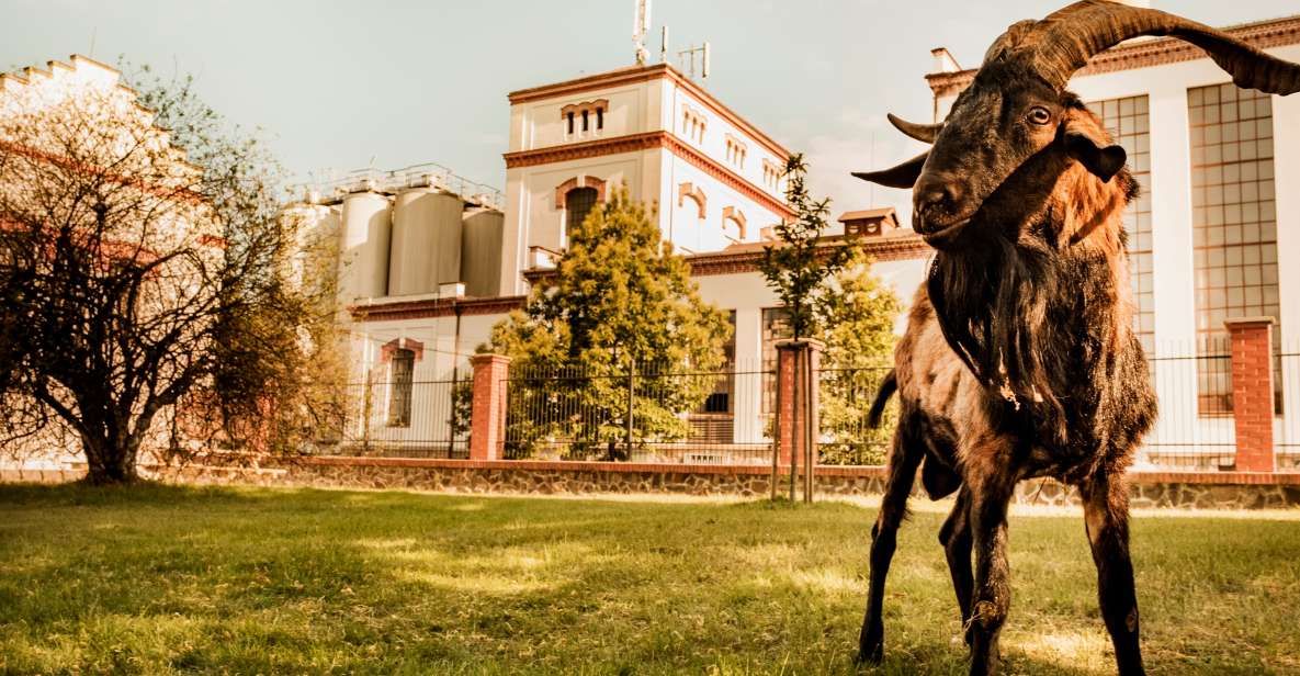 Velke Popovice: Kozel Brewery Tour With Beer Tasting - Key Points