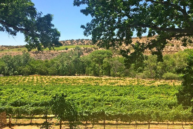 Verde Valley Wine Tour From Sedona in Luxury Vehicle - Tour Itinerary Overview