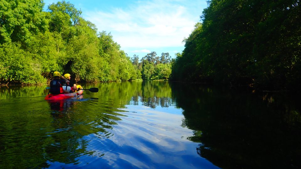 Viana Do Castelo: Kayak Tour at Lima River - Key Points