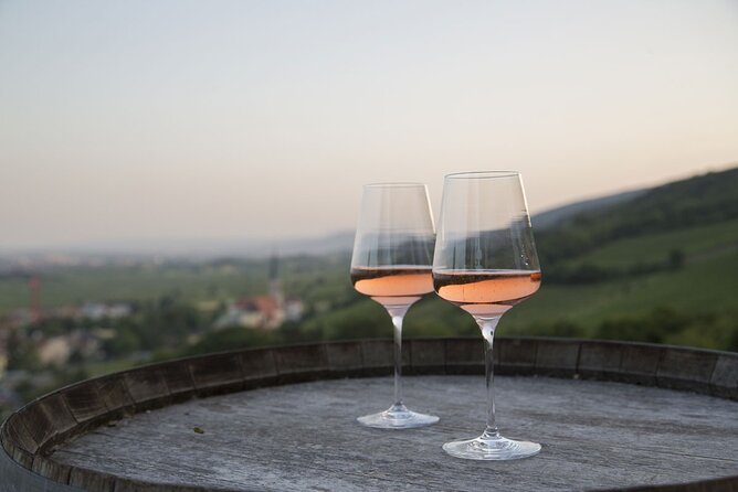 Viennas Wine Culture: Wine Tasting From Grapes to Your Glass - Key Points