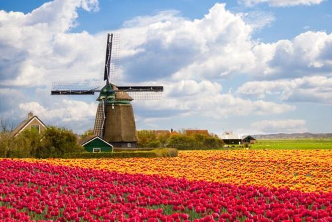 Visit Amsterdam Countryside With Windmills by Bike - Key Points