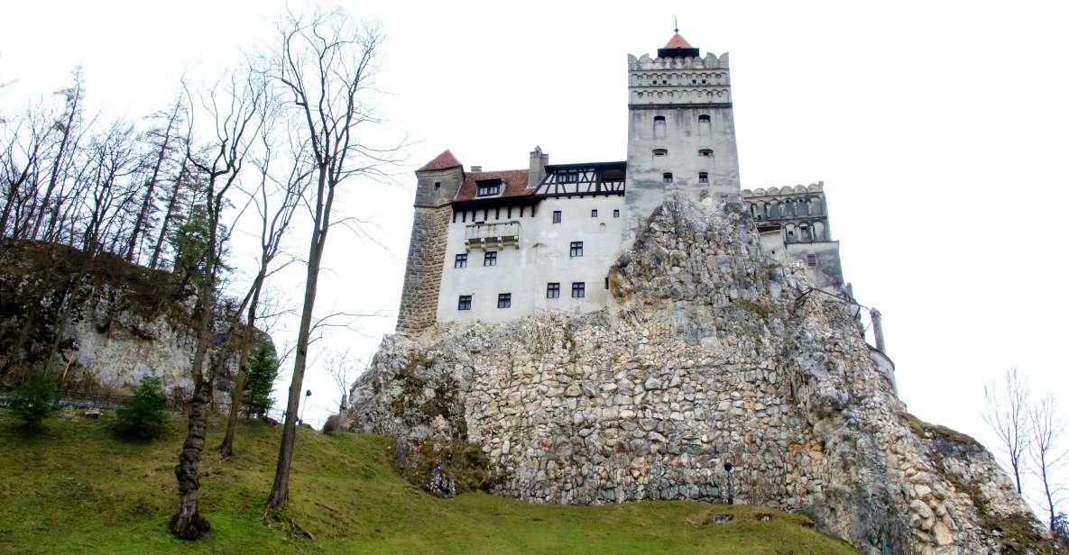 Visit Bear Sanctuary and Bran Castle From Brasov - Key Points