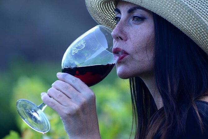 Visit Bodegas Teneguía Winery in La Palma With Wine Tasting - Key Points